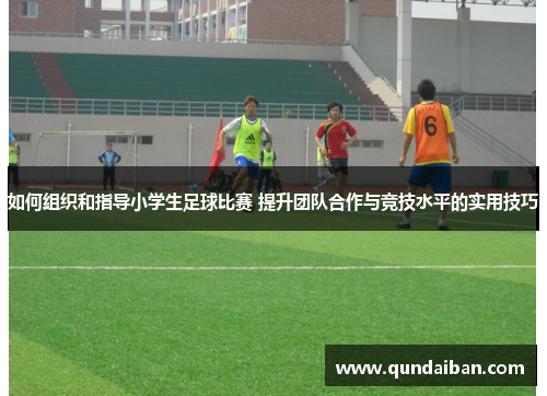 如何组织和指导小学生足球比赛 提升团队合作与竞技水平的实用技巧