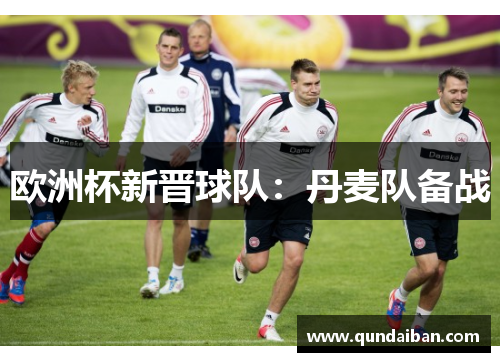 欧洲杯新晋球队：丹麦队备战