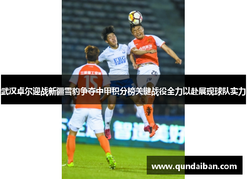 武汉卓尔迎战新疆雪豹争夺中甲积分榜关键战役全力以赴展现球队实力