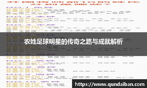 农姓足球明星的传奇之路与成就解析
